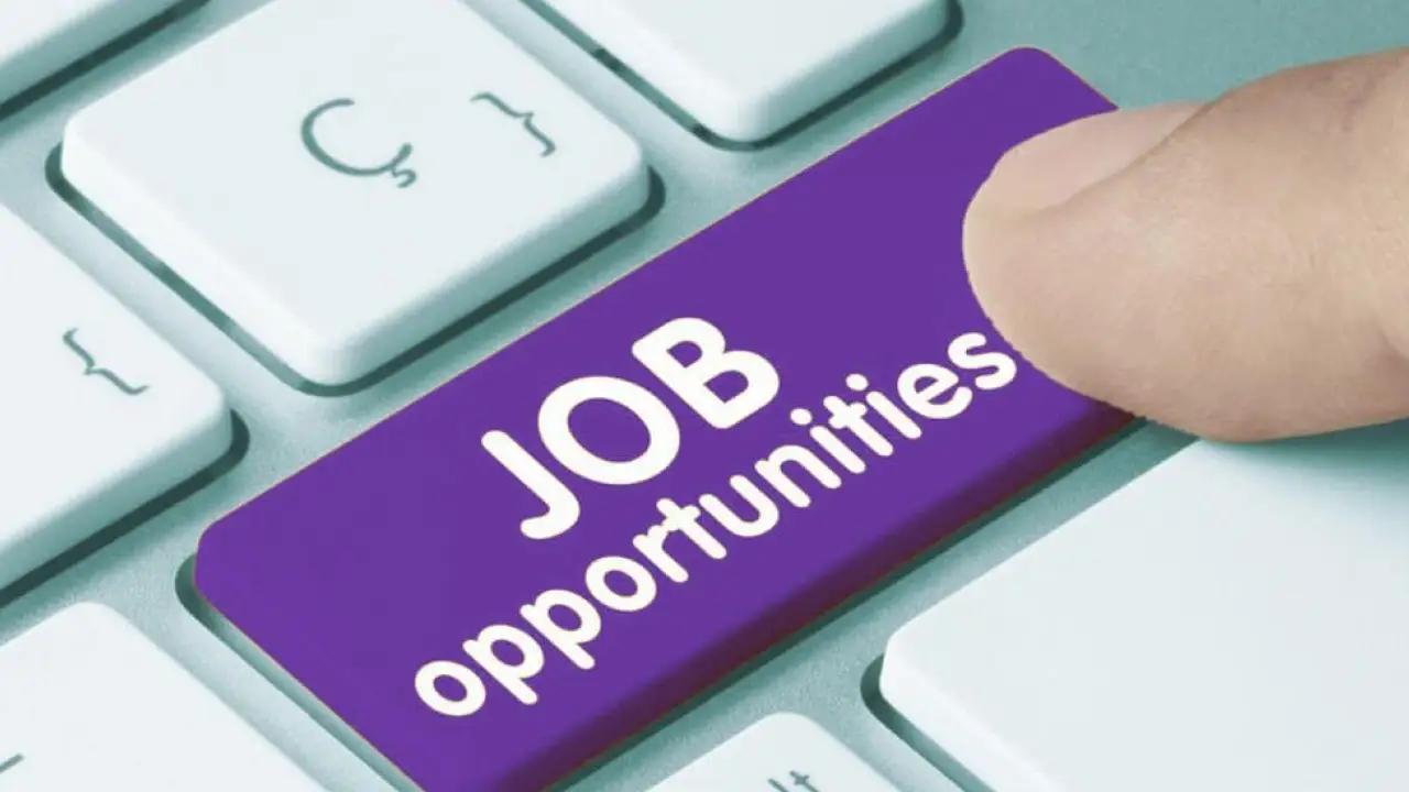 Job-opportunities.
