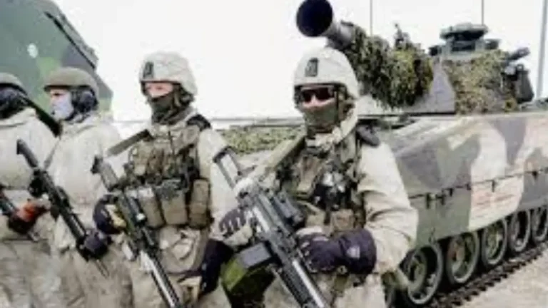 Norway army