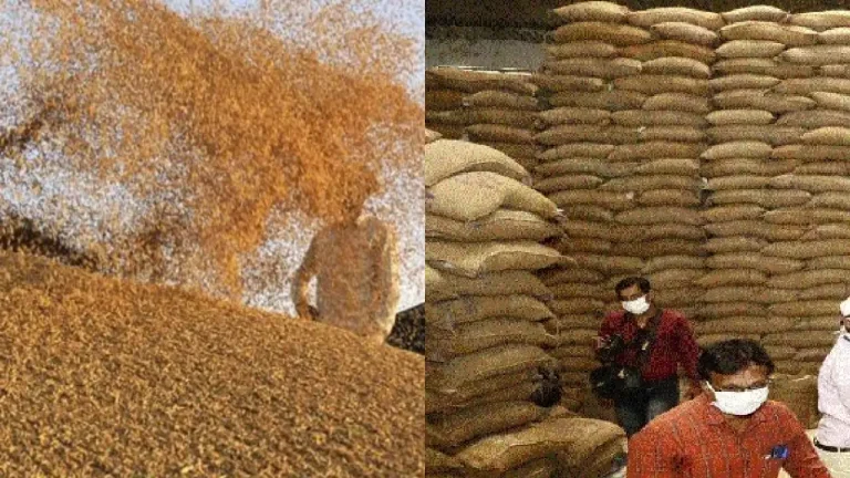 RICE