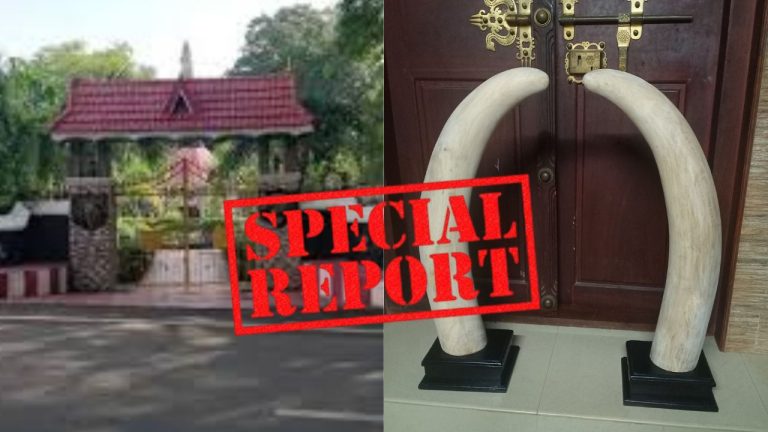 പട്ടാപ്പകൽ തോക്കേന്തിയ കാവൽക്കാരെ വെട്ടിച്ച് ആനക്കൊമ്പ് കടത്തി! പാങ്ങോട് മിലിട്ടറി ക്യാമ്പിൽ നടന്നത് വൻ ആസൂത്രണം