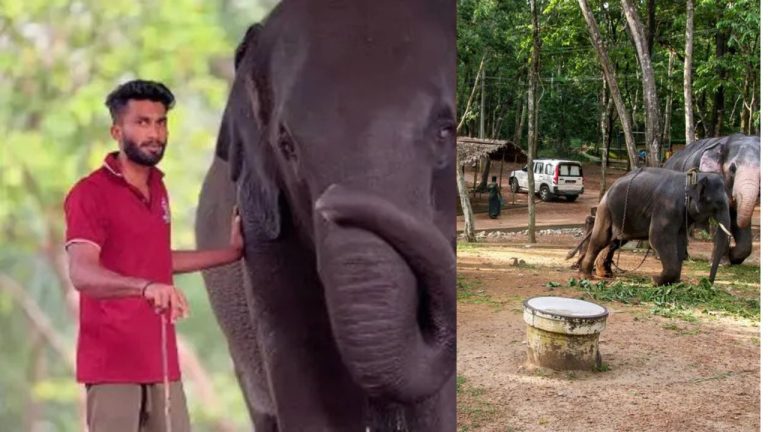 വിഷ്ണുവിന്റെ കുടുംബത്തിന് ആശ്വാസം; അനന്തരാവകാശ സർട്ടിഫിക്കറ്റ് അടിയന്തരമായി നൽകാൻ നിർദ്ദേശം