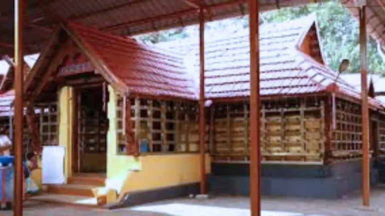 തിരുവാഭരണത്തിലെ കാണിപ്പൊന്ന് ഭക്തന്‍ വീട്ടില്‍ കൊണ്ടുപോയി; നിമിഷങ്ങള്‍ക്കുള്ളില്‍ കണ്ടെത്താനായത് ആശ്വാസം; അത് മോഷണമല്ല; വിശ്വാസം വിനയായപ്പോള്‍