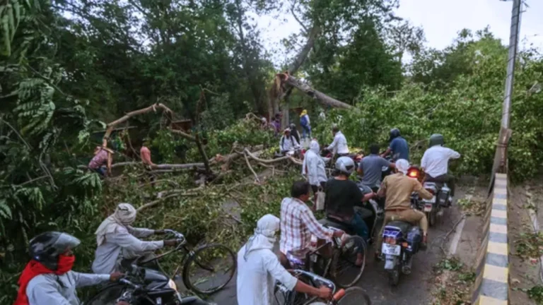 യുപിയിൽ പ്രകൃതിക്ഷോഭം: 111 പേർക്ക് ജീവൻ നഷ്ടമായി; വീടുകളും കൃഷിയും നശിച്ചു up rain