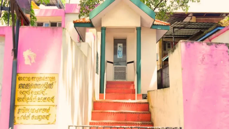 അമ്മത്തൊട്ടിലിൽ പുതിയ അതിഥി; നഴ്‌സിങ് ദിനത്തിന്റെ ഓർമ്മയിൽ കുരുന്നിന് 'നൈല' എന്ന് പേരിട്ടു
