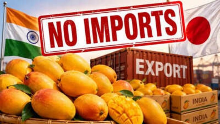 mango-exports