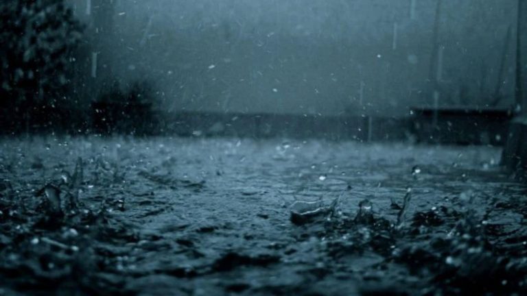സംസ്ഥാനത്ത് വരുന്ന അഞ്ച് ദിവസത്തേക്ക് ശക്തമായ മഴ ; ജില്ലകളിൽ റെഡ്, ഓറഞ്ച്, യെല്ലോ അലേർട്ടുകൾ 7d02d721cb6586882e6ec80998246183