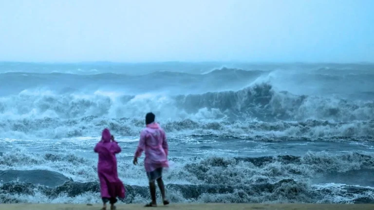 കടൽ പ്രക്ഷുബ്ധമാകാൻ സാധ്യത; അഞ്ച് ദിവസത്തേക്ക് മത്സ്യബന്ധനത്തിന് വിലക്ക് കടൽ പ്രക്ഷുബ്ധമാകാൻ സാധ്യത; അഞ്ച് ദിവസത്തേക്ക് മത്സ്യബന്ധനത്തിന് വിലക്ക്